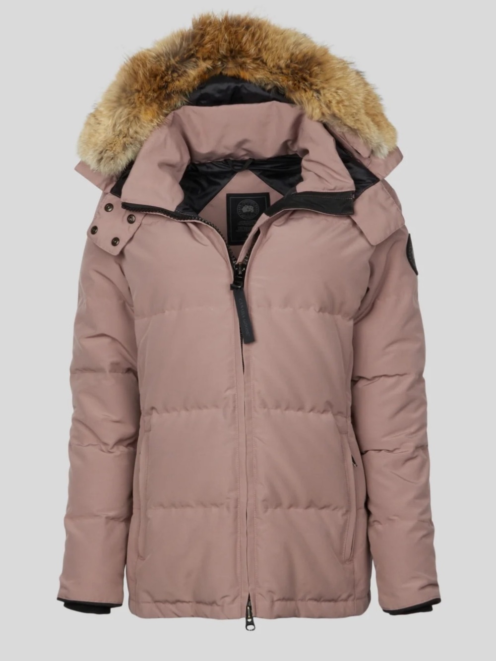 Aritzia POWDER PARKA